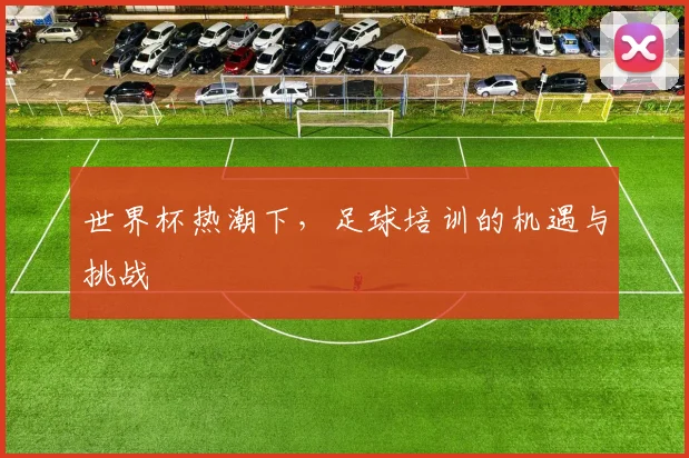 世界杯热潮下，足球培训的机遇与挑战