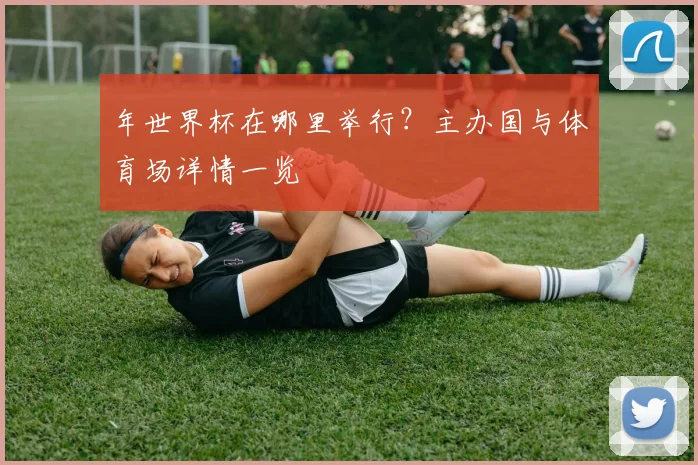 年世界杯在哪里举行？主办国与体育场详情一览