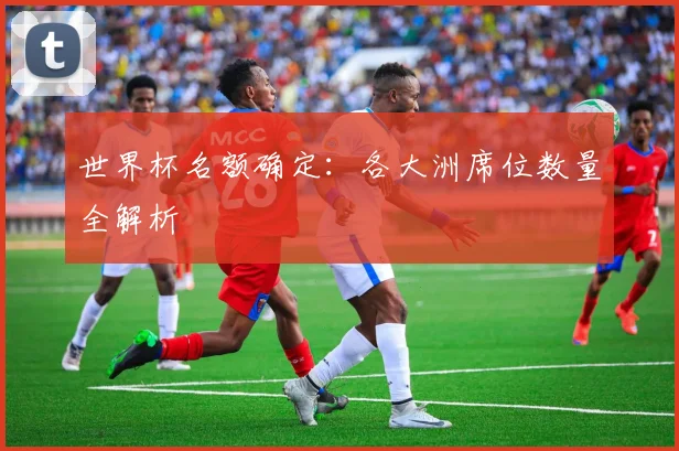 世界杯名额确定：各大洲席位数量全解析