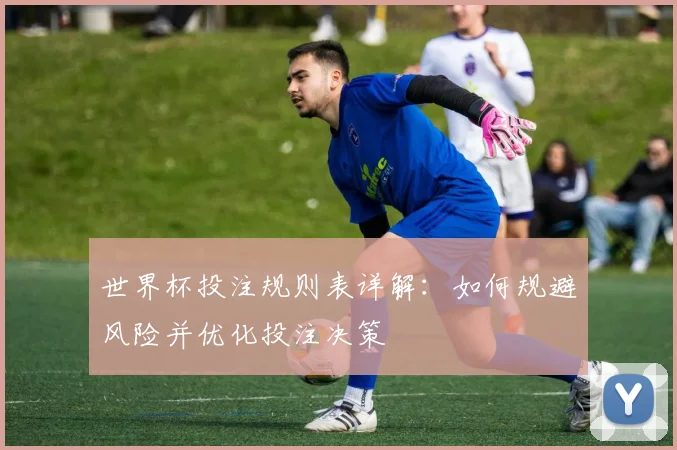 世界杯投注规则表详解：如何规避风险并优化投注决策
