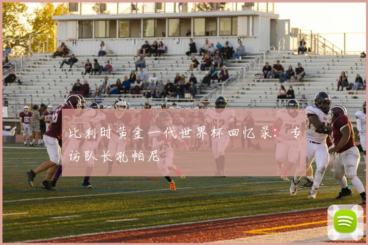 比利时黄金一代世界杯回忆录：专访队长孔帕尼