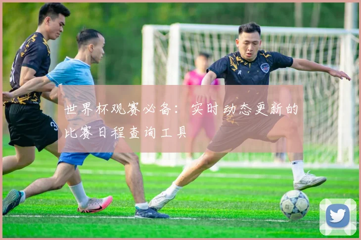 世界杯观赛必备：实时动态更新的比赛日程查询工具