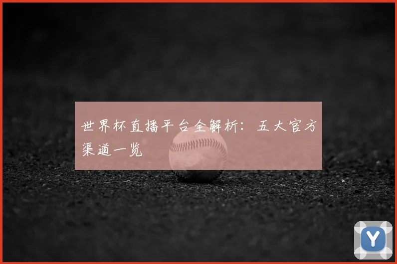 世界杯直播平台全解析：五大官方渠道一览